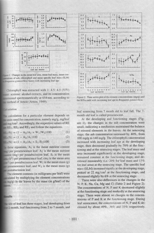 Mangrove Research Papers IV (1997-1999) - aus dem Buch